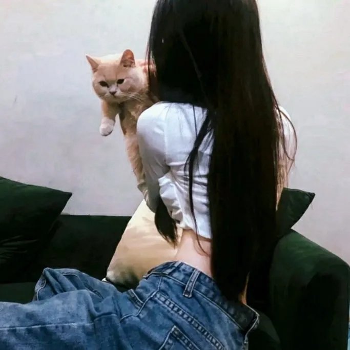 钢的琴